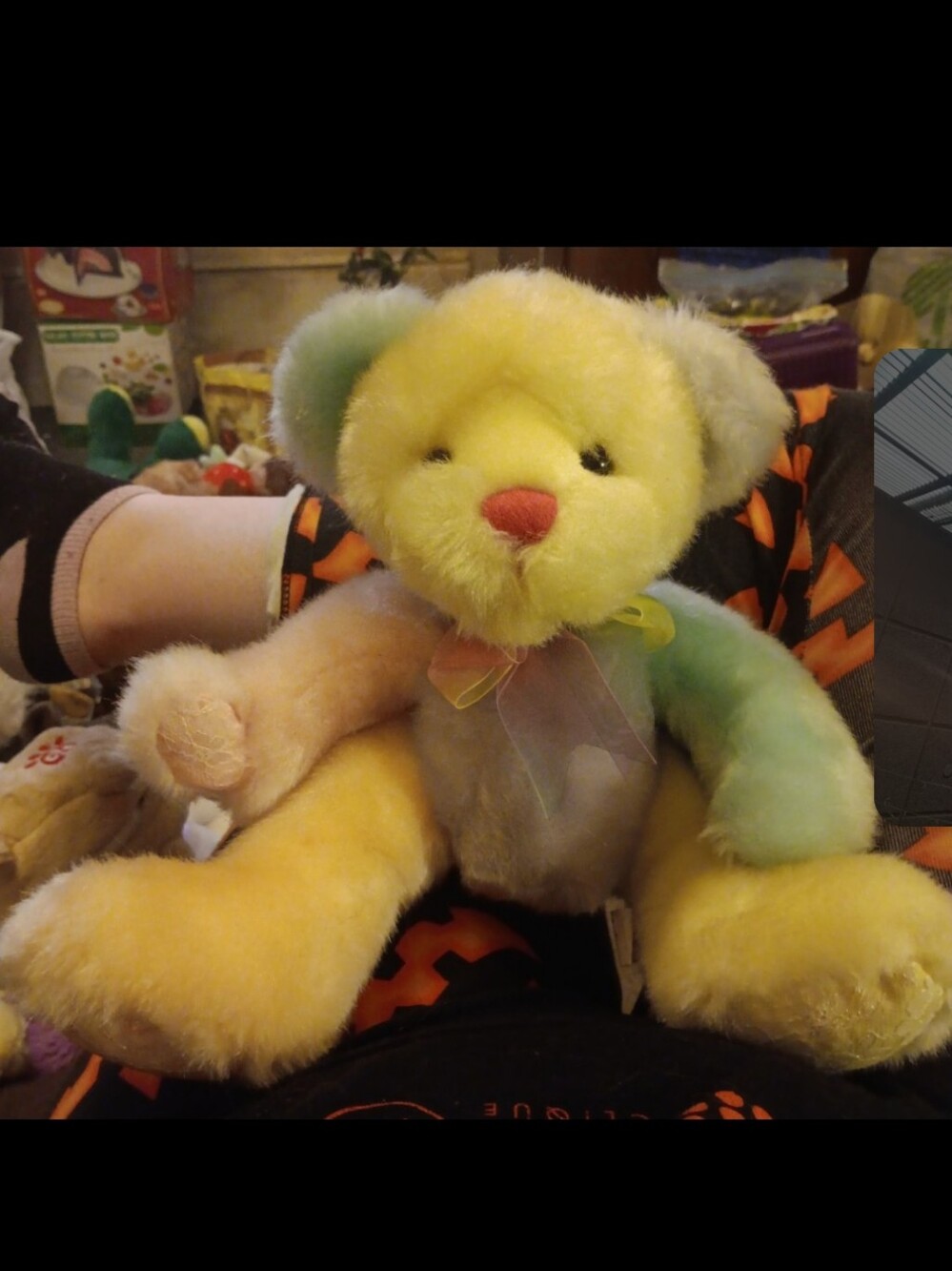 Sorbet the bear 1st and main 2001